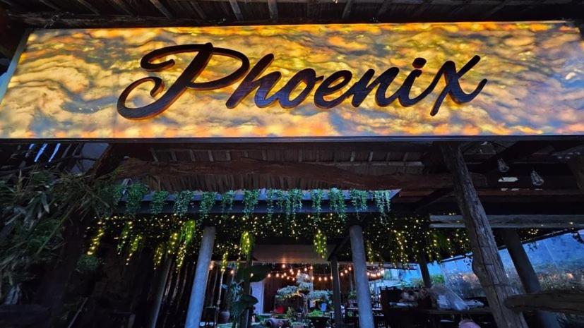 Phoenix Hotel An Bang Beach Hoi An Eksteriør bilde
